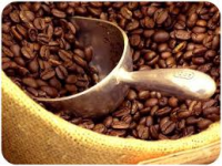 Café Grano Calidad Exportación