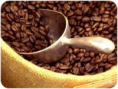 /products/cafe-grano-calidad-exportacion/